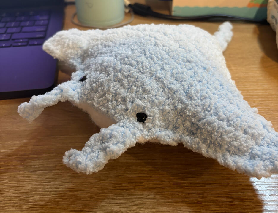 Manta ray Manta ray