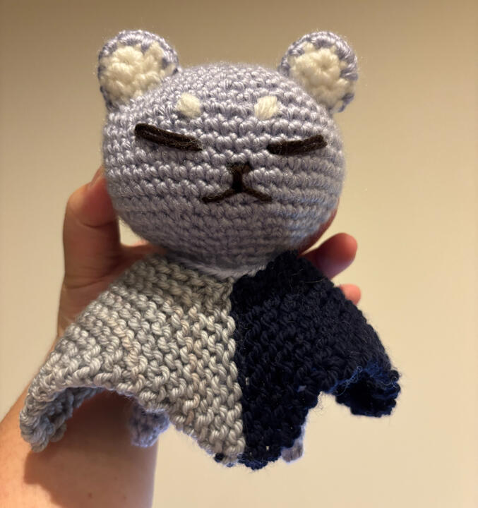 Poncho gato Poncho gato